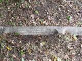 image of grave number 313967